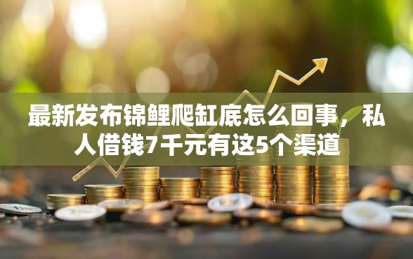 最新发布锦鲤爬缸底怎么回事，私人借钱7千元有这5个渠道