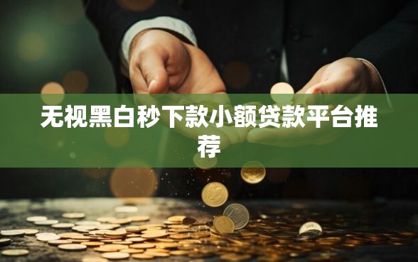 无视黑白秒下款小额贷款平台推荐