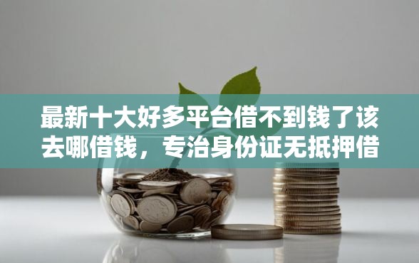 最新十大好多平台借不到钱了该去哪借钱，专治身份证无抵押借钱500