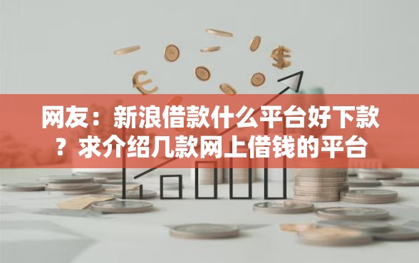 网友：新浪借款什么平台好下款？求介绍几款网上借钱的平台