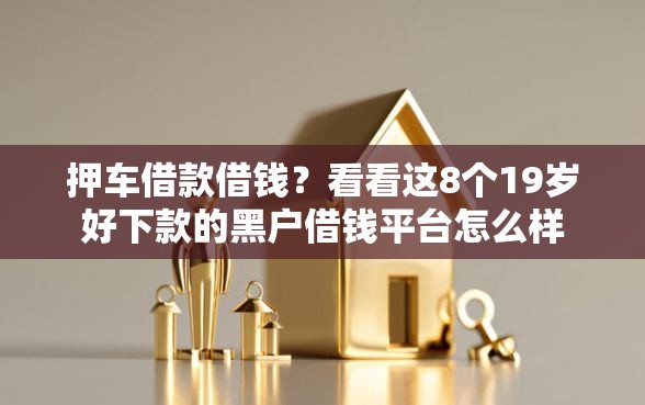 押车借款借钱？看看这8个19岁好下款的黑户借钱平台怎么样