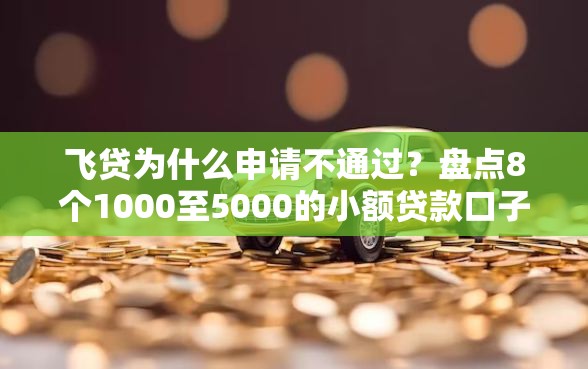 飞贷为什么申请不通过？盘点8个1000至5000的小额贷款口子给你参考