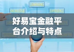 好易宝金融平台介绍与特点解析