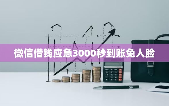 微信借钱应急3000秒到账免人脸