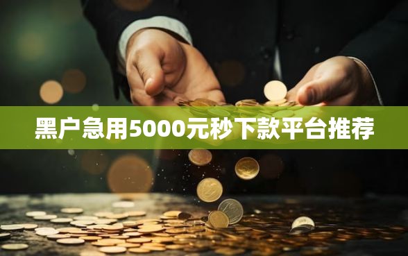 黑户急用5000元秒下款平台推荐