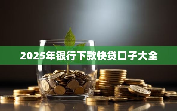 2025年银行下款快贷口子大全