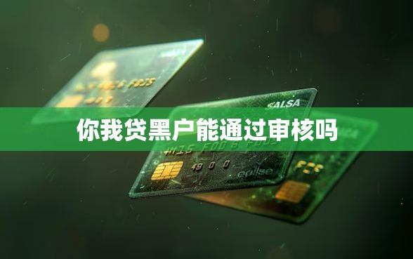 你我贷黑户能通过审核吗
