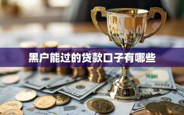 黑户能过的贷款口子有哪些