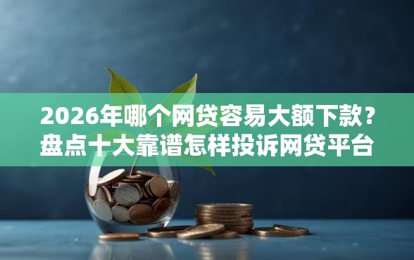 2026年哪个网贷容易大额下款？盘点十大靠谱怎样投诉网贷平台
