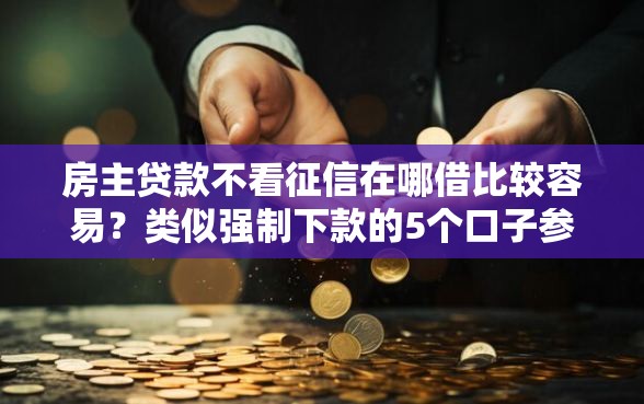 房主贷款不看征信在哪借比较容易？类似强制下款的5个口子参考