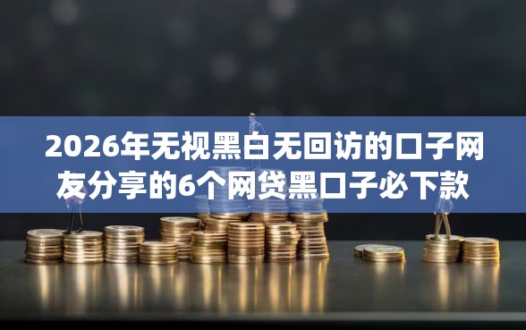 2026年无视黑白无回访的口子网友分享的6个网贷黑口子必下款app我觉得不错！