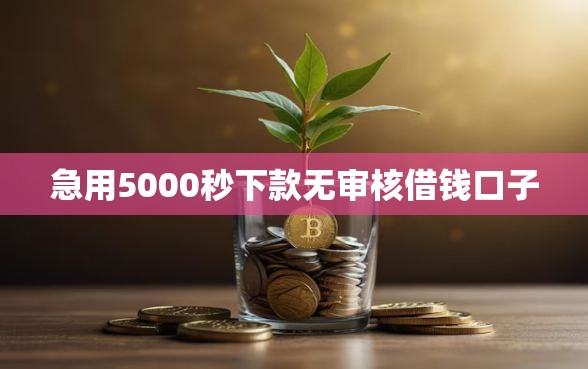 急用5000秒下款无审核借钱口子