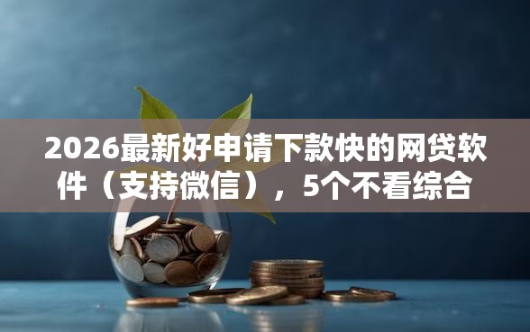2026最新好申请下款快的网贷软件（支持微信），5个不看综合评分夜间直接能下款又正规的平台无私分享