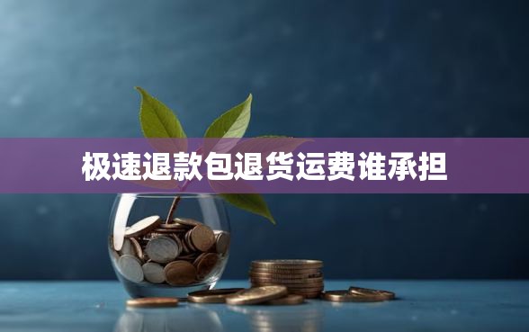 极速退款包退货运费谁承担