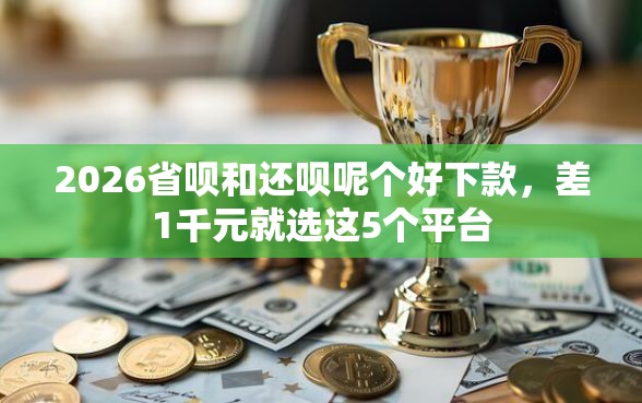 2026省呗和还呗呢个好下款，差1千元就选这5个平台