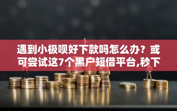 遇到小极呗好下款吗怎么办？或可尝试这7个黑户短借平台,秒下款还可靠