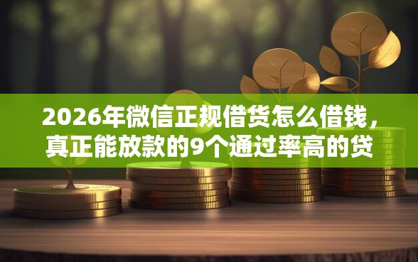 2026年微信正规借货怎么借钱，真正能放款的9个通过率高的贷款平台推荐