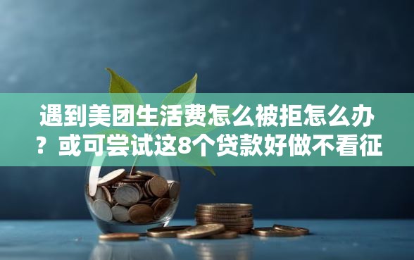 遇到美团生活费怎么被拒怎么办？或可尝试这8个贷款好做不看征信的口子
