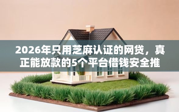 2026年只用芝麻认证的网贷，真正能放款的5个平台借钱安全推荐
