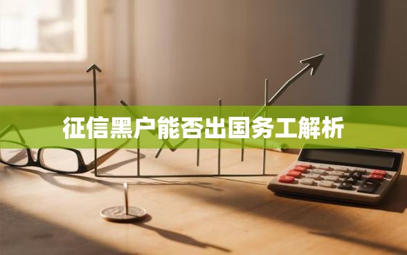 征信黑户能否出国务工解析