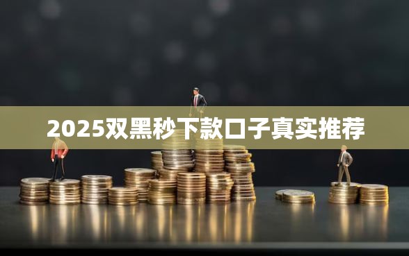 2025双黑秒下款口子真实推荐