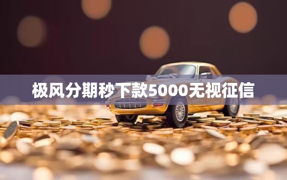 极风分期秒下款5000无视征信