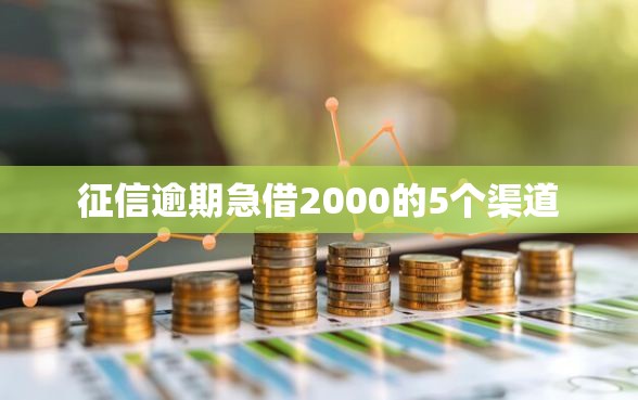 征信逾期急借2000的5个渠道
