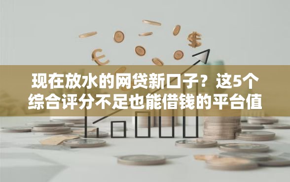 现在放水的网贷新口子？这5个综合评分不足也能借钱的平台值得一试