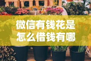 微信有钱花是怎么借钱有哪些？分享8个70岁可以贷款的平台