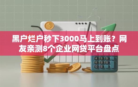 黑户烂户秒下3000马上到账？网友亲测8个企业网贷平台盘点