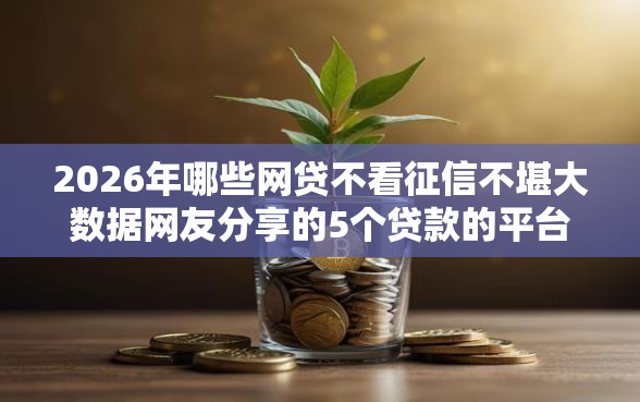 2026年哪些网贷不看征信不堪大数据网友分享的5个贷款的平台我觉得不错！