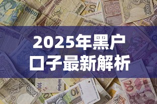 2025年黑户口子最新解析与办理指南
