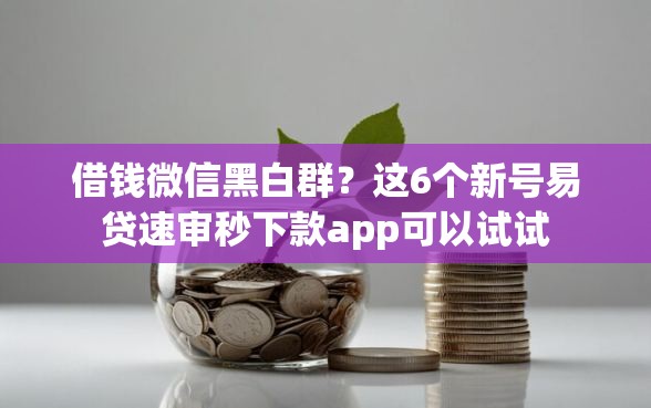 借钱微信黑白群？这6个新号易贷速审秒下款app可以试试
