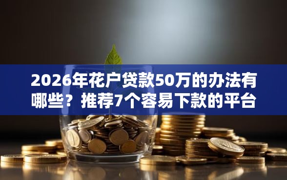 2026年花户贷款50万的办法有哪些？推荐7个容易下款的平台