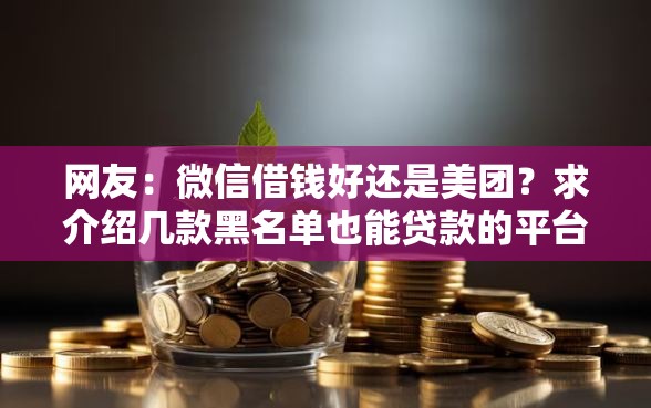 网友：微信借钱好还是美团？求介绍几款黑名单也能贷款的平台