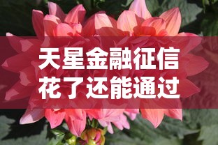 天星金融征信花了还能通过吗