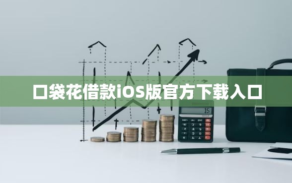 口袋花借款iOS版官方下载入口