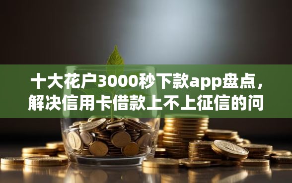 十大花户3000秒下款app盘点，解决信用卡借款上不上征信的问题