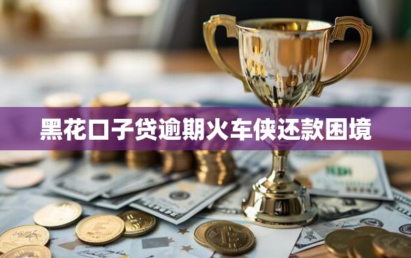 黑花口子贷逾期火车侠还款困境