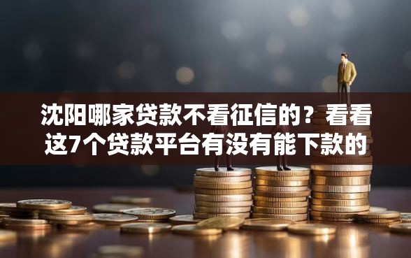 沈阳哪家贷款不看征信的？看看这7个贷款平台有没有能下款的