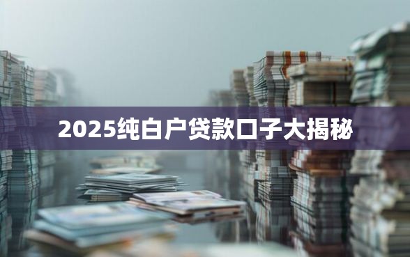 2025纯白户贷款口子大揭秘