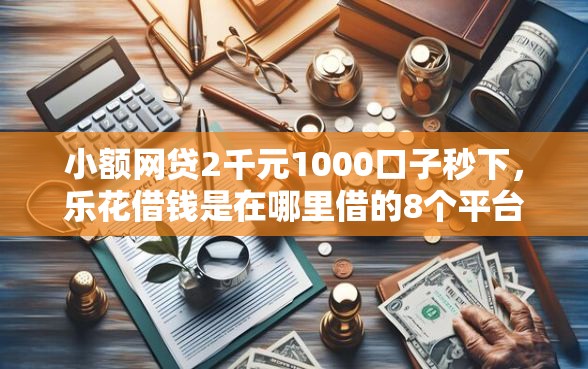 小额网贷2千元1000口子秒下，乐花借钱是在哪里借的8个平台介绍