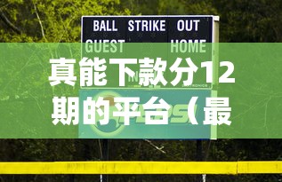 真能下款分12期的平台（最新发布！）5个网贷口子风控不严的app