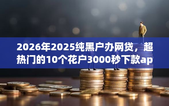 2026年2025纯黑户办网贷，超热门的10个花户3000秒下款app推荐