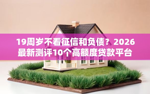19周岁不看征信和负债？2026最新测评10个高额度贷款平台