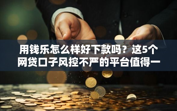 用钱乐怎么样好下款吗？这5个网贷口子风控不严的平台值得一试