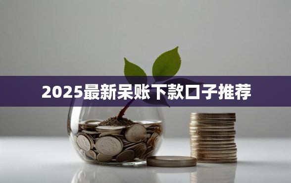 2025最新呆账下款口子推荐