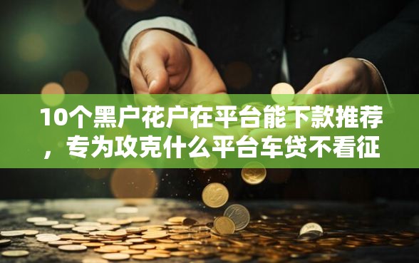 10个黑户花户在平台能下款推荐，专为攻克什么平台车贷不看征信好难题