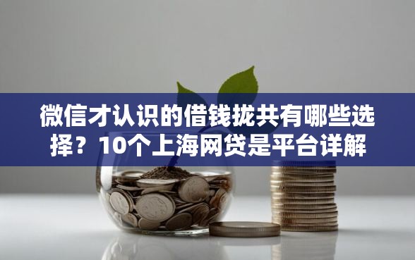 微信才认识的借钱拢共有哪些选择？10个上海网贷是平台详解