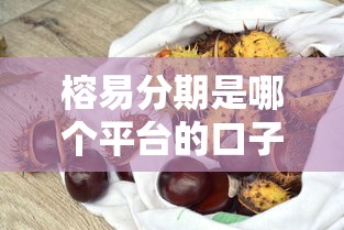 榕易分期是哪个平台的口子